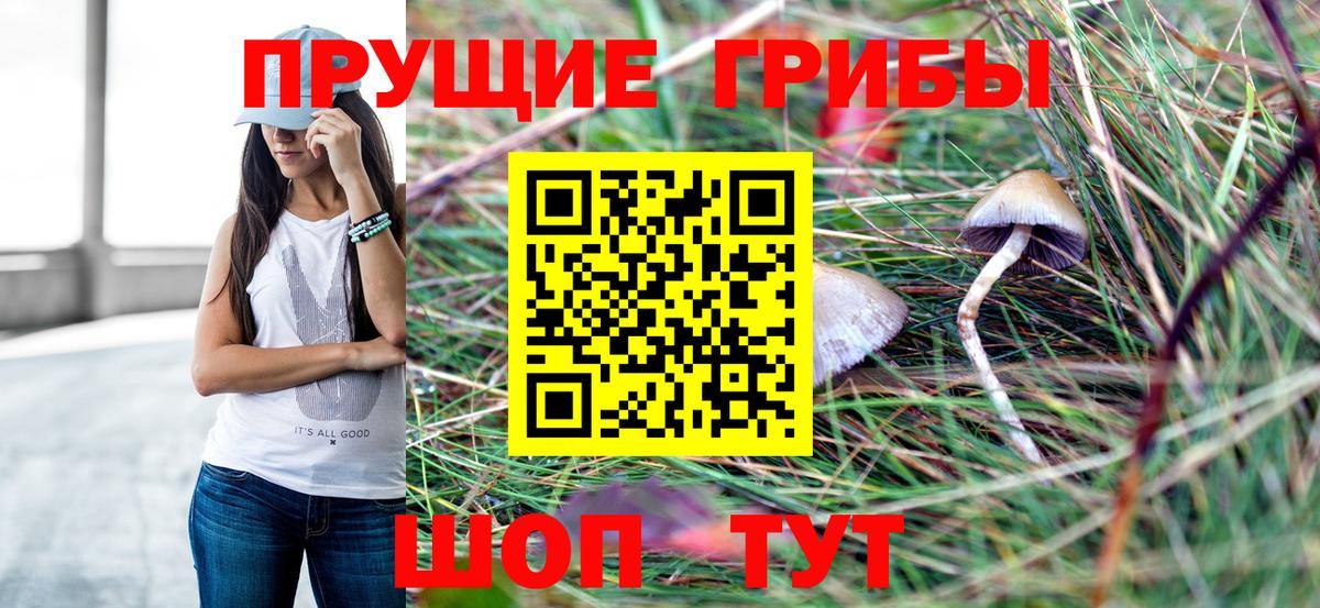 Галлюциногенные грибы GOLDEN TEACHER  Галлюциногенные грибы Psilocybe  Вход с VPN  Гагарин 