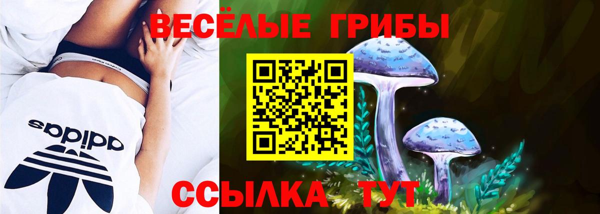 Псилоцибиновые грибы ЛСД Гагарин